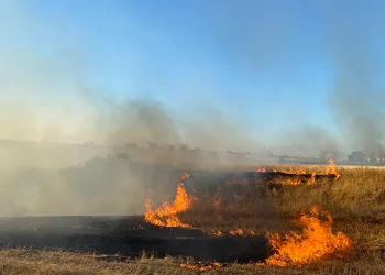 Malatya’da anız yakılması yasaklandı