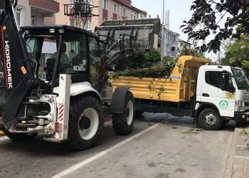 Taksinin üstüne devrilen ağaç trafiği kapattı