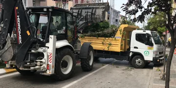 Taksinin üstüne devrilen ağaç trafiği kapattı