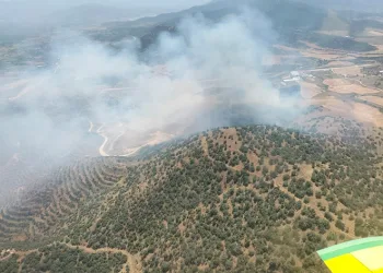 Ekin tarlasında başladı, ormana sıçradı