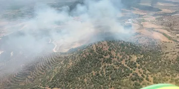 Ekin tarlasında başladı, ormana sıçradı