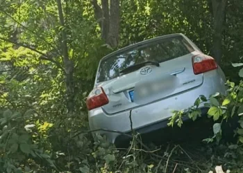 Bursa-Ankara karayolunda araç, ağaca çarparak durabildi