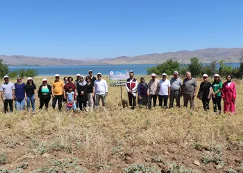 Kadın çiftçiler nohut hasadına başladı