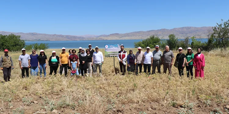 Kadın çiftçiler nohut hasadına başladı