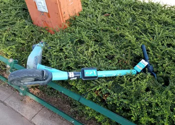 Çalıların üzerine atılan scooter