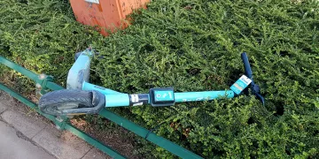 Çalıların üzerine atılan scooter