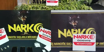 Zehir tarlasına polis baskını