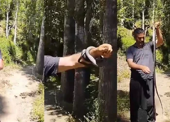 Yılanı koluna bilezik gibi sardı