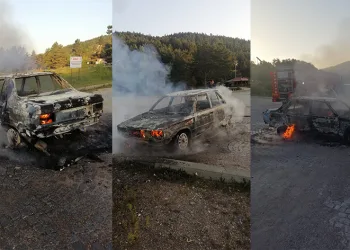 Park halindeki otomobil alevlere teslim oldu