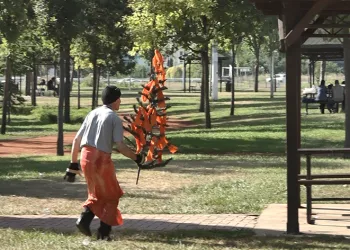 Ağaç adam oldu, orman yangınlarına dikkat çekti