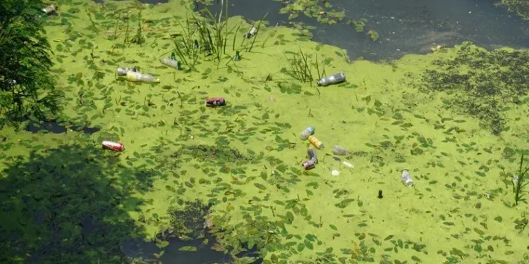 Tunca Nehri çöplüğe döndü