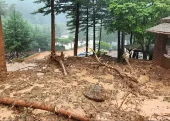 Güney Kore’de sel ve toprak kayması