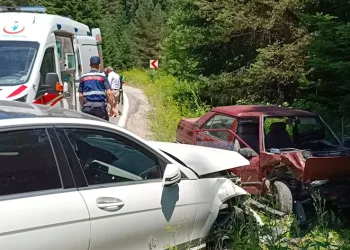 Çilek toplamak için durdu, kazaya sebep oldu