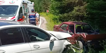 Çilek toplamak için durdu, kazaya sebep oldu