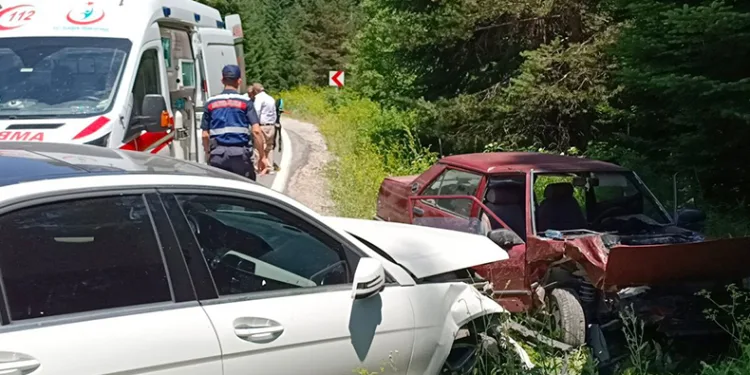 Çilek toplamak için durdu, kazaya sebep oldu