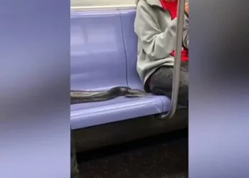 Metroda yolcunun yanından yılan geçti