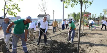 600 fidan 15 Temmuz şehitleri için dikildi