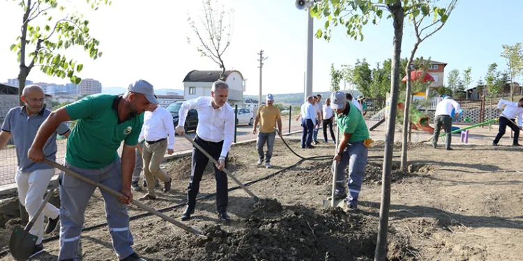 600 fidan 15 Temmuz şehitleri için dikildi