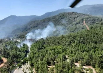 Muğla’da orman yangını