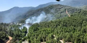 Muğla’da orman yangını