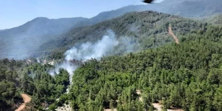 Muğla’da orman yangını