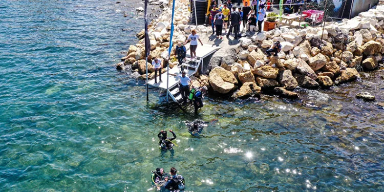 Van Denizi Yüzme Festivali