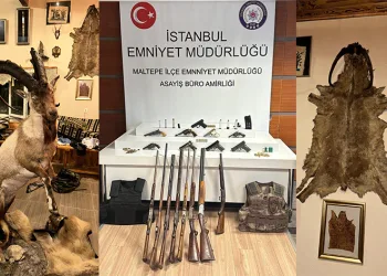 Maltepe’de kaçakçılık operasyonu