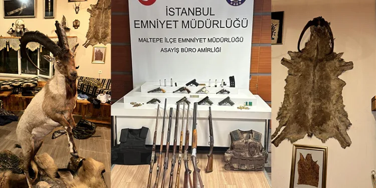 Maltepe’de kaçakçılık operasyonu