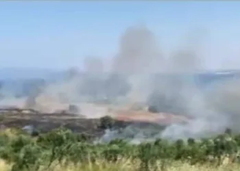 Erdek Tatlısu yangını korkuttu