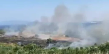Erdek Tatlısu yangını korkuttu