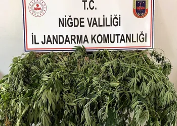 Uyuşturucu operasyonunda 2 gözaltı