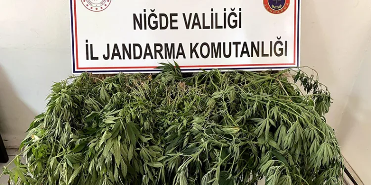 Uyuşturucu operasyonunda 2 gözaltı