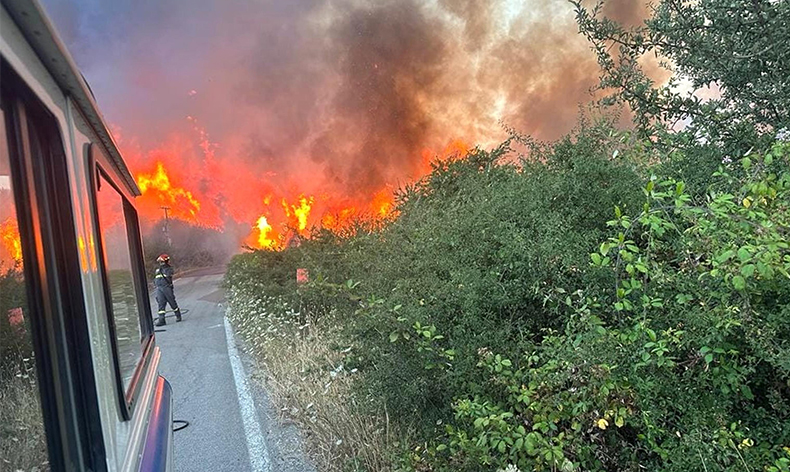 Sicilya'da orman yangını başladı