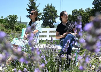 Kemer’de “Mor turizm” başlıyor