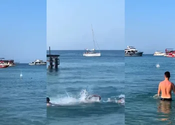 Mızrak balığını köpekbalığı diye taşladılar