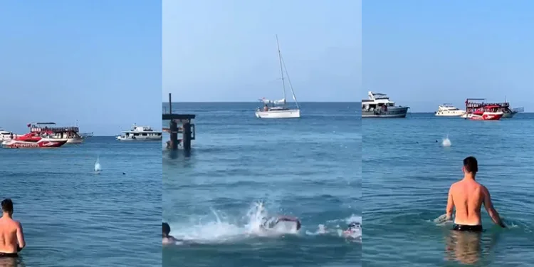 Mızrak balığını köpekbalığı diye taşladılar