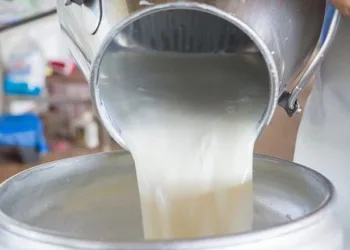 Çiğ süt tavsiye fiyatı artırıldı