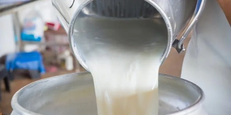 Çiğ süt tavsiye fiyatı artırıldı