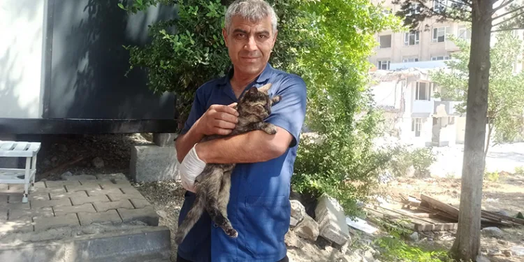 Depremzede sokakta kalan kedileri sahiplendi