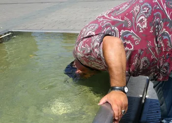 Sıcaktan bunaldı kafasını süs havuzuna soktu