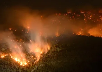 İsviçre’de ormanlık alanda yangın