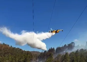 Muğla’da 3 saatte 6 yangın