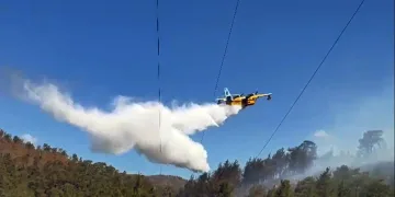 Muğla’da 3 saatte 6 yangın