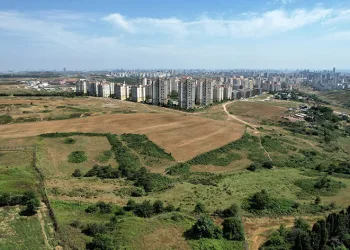 Taş toprak ‘altın’dan kıymetli oldu