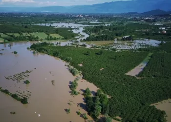 Sel suları tarım arazilerini göle çevirdi