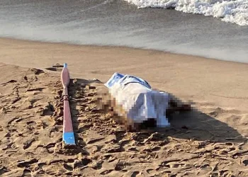 Sandalla denize açıldı, cansız bedeni kıyıya vurdu
