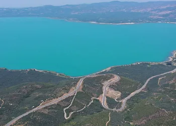 Turkuaz rengiyle dikkat çekiyor