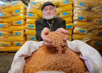 4 bin çiftçiye tohum desteği