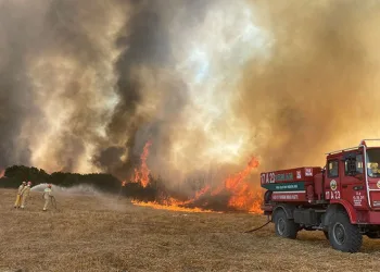 Çanakkale’de ağaçlık alanda yangın