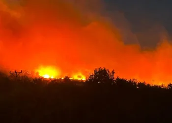 Gece çıkan örtü yangını 7 saattir devam ediyor